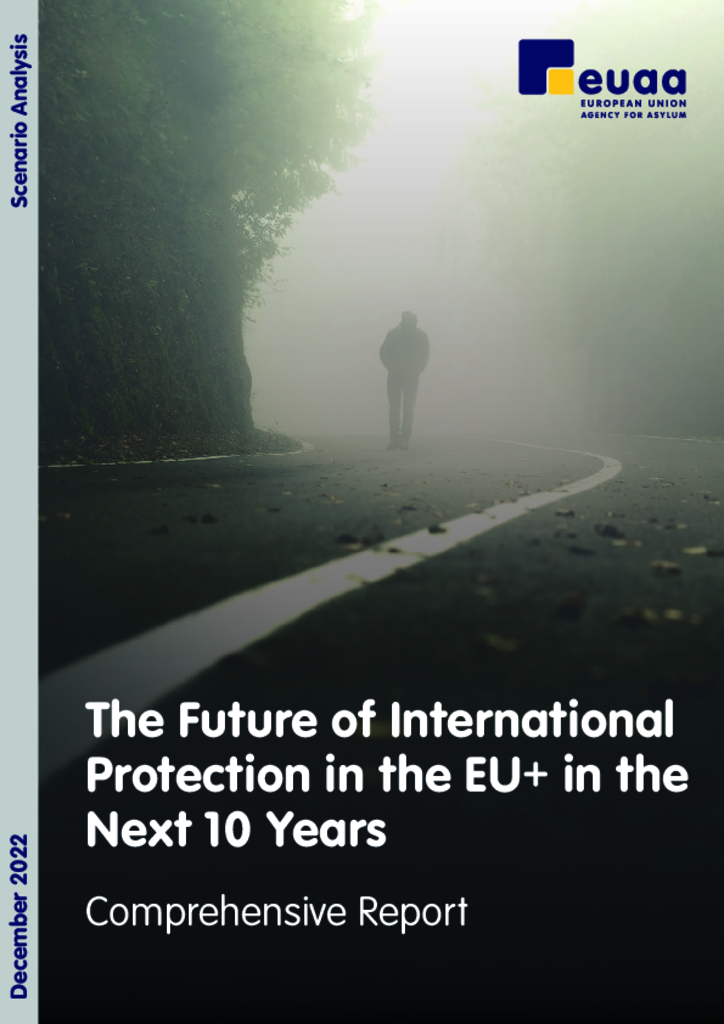 Cover of The future of International Protection in the EU+ in the next 10 years