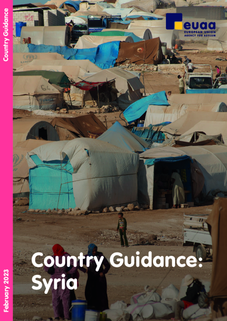 Cover of Country Guidance Syria