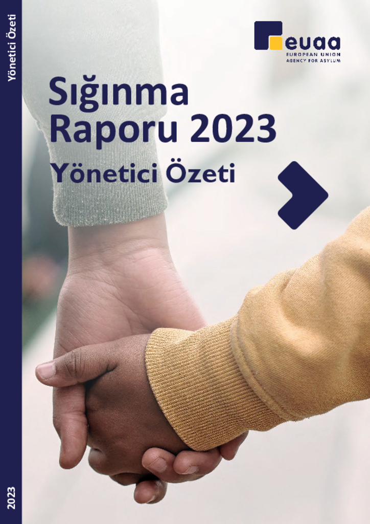 Sığınma Raporu 2023: Yönetici Özeti (TR)
