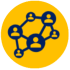 training networks