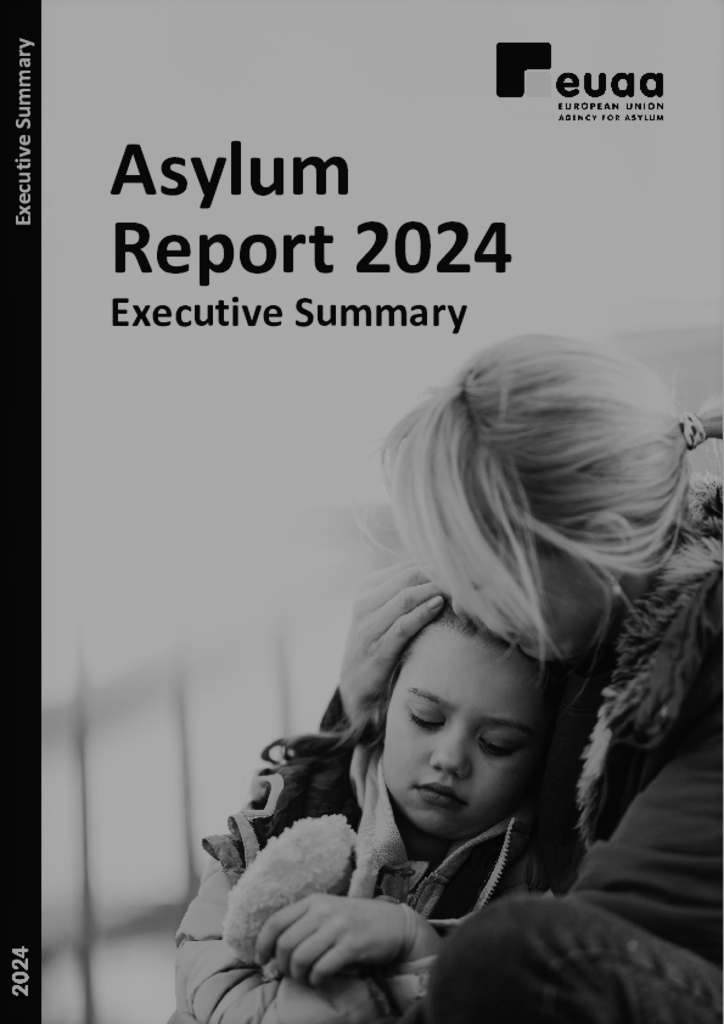 Asylum Report Executive Summary