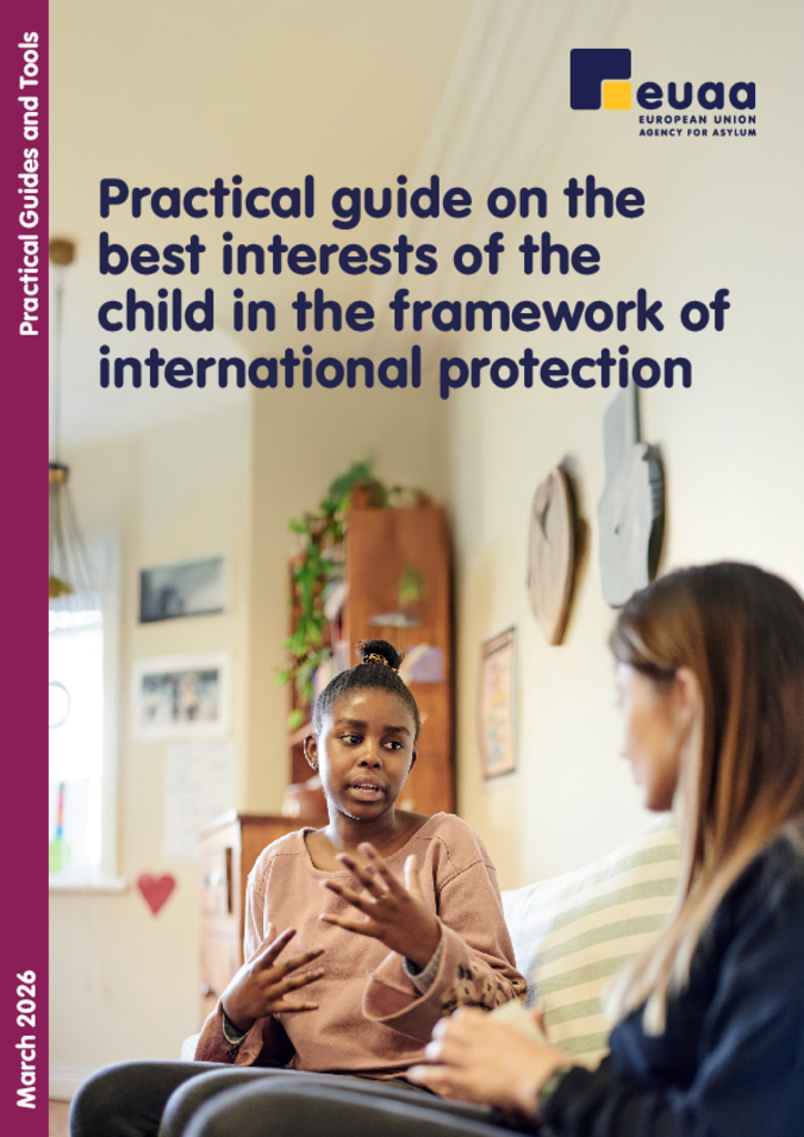 Cover of Practical guide on the best interest of the child