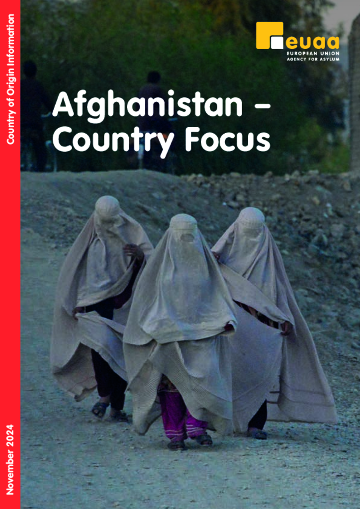 Cover of Afghanistan Country Focus
