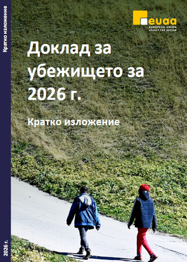 Bulgarian cover of the Executive Summary 