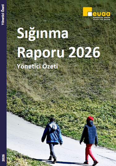 Turkish cover of the Executive Summary