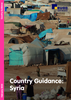 Cover of Country Guidance Syria
