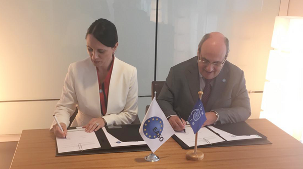 Image for EASO and IOM sign Working Arrangement