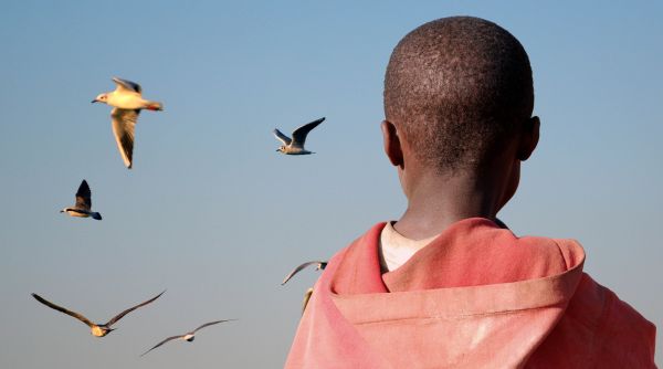 Asylum applications down by 23% in the first half of 2025