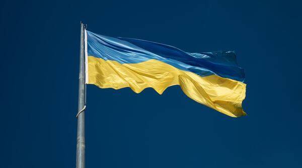 Ukranian Flag 