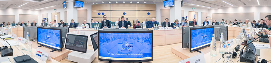 Image for 29th EASO Management Board discusses governance and elects new Deputy Chair